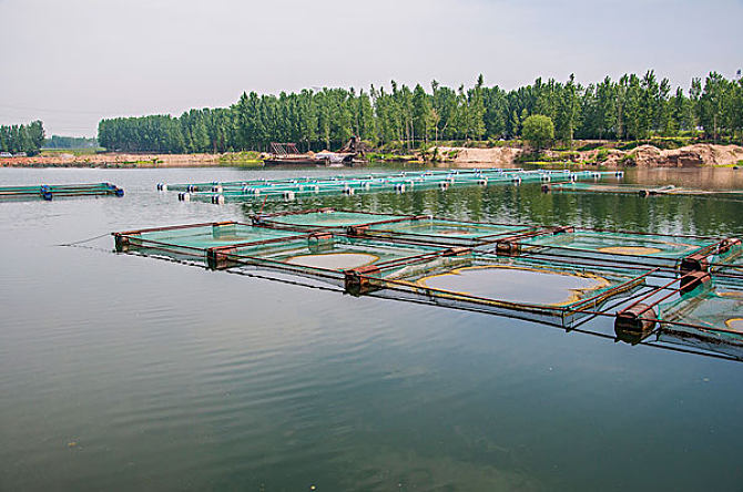 漁業(yè)養殖水質(zhì)檢測
